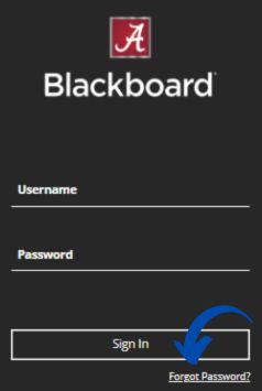 UA Blackboard Recover Password