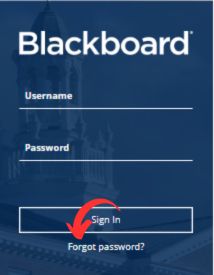 WCSU Blackboard Recover Password